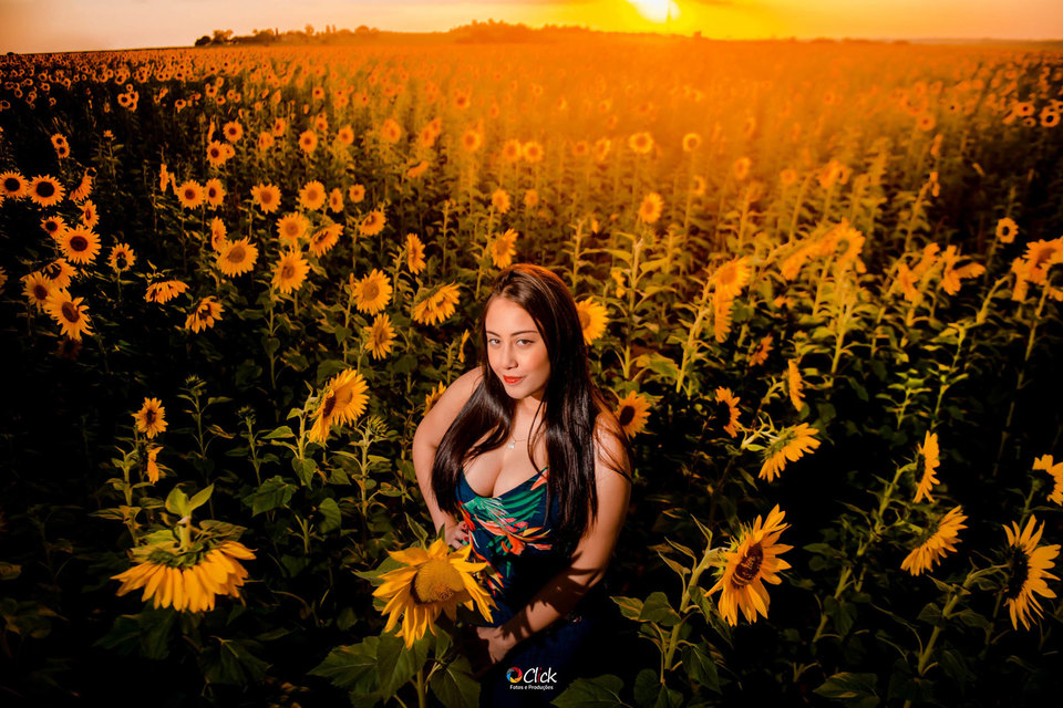 Ensaio Karina - Campo de Girassol